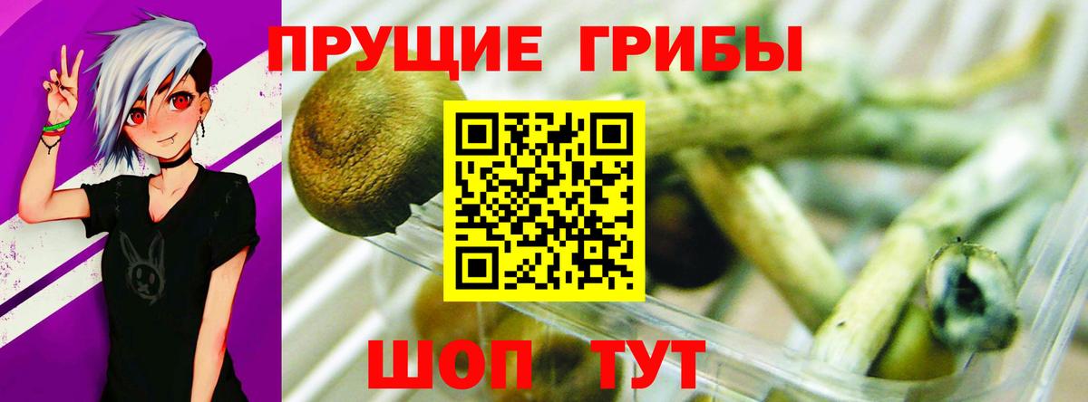 Галлюциногенные грибы MAGIC MUSHROOMS Десногорск