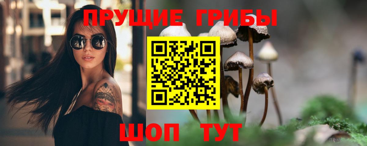 Десногорск  Галлюциногенные грибы Psilocybe  Галлюциногенные грибы Magic Shrooms  Вход с VPN 